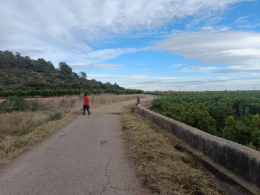 El Ayuntamiento de Almenara limpia y desbroza el camino Palmera Alta para facilitar el paso de los vehículos