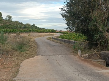 Fotografia /Galeria/2023/12/218779_138187/2_M1.jpg