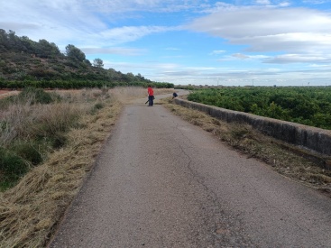 Fotografia /Galeria/2023/12/218779_138187/3_M1.jpg