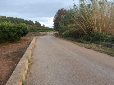 Fotografia /Galeria/2023/12/218779_138187/4_M1.jpg