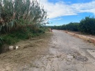 L'Ajuntament d'Almenara neteja i desbrossa el cam Palmera Alta per facilitar el pas dels vehicles