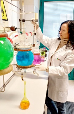 Fotografia /Galeria/2023/12/218939_138277/3_M1.jpg