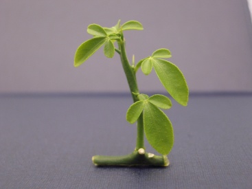 Fotografia /Galeria/2023/12/218939_138277/5_M1.jpg