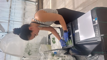 Fotografia /Galeria/2023/12/218939_138277/6_M1.jpg