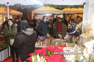 Fotografia /Galeria/2023/12/219024_138329/3_M1.jpg