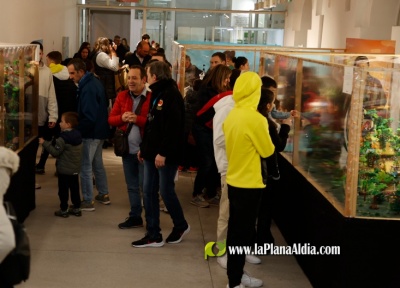 Fotografia /Galeria/2023/12/219068_138361/3_M1.jpg