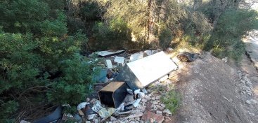 Fotografia /Galeria/2023/12/219321_138530/2_M1.jpg