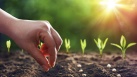 LA UNI pide una moratoria en los periodos de prohibicin para fertilizacin nitrogenada de los suelos agrarios que debe entrar en vigor en 2024