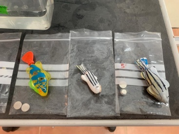 Fotografia /Galeria/2023/12/219342_138545/2_M1.jpg