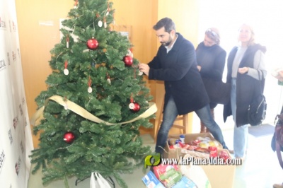 Fotografia /Galeria/2023/12/219418_138586/5_M1.jpg