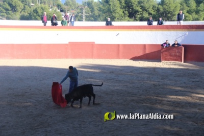 Fotografia /Galeria/2023/12/219451_138613/2_M1.jpg