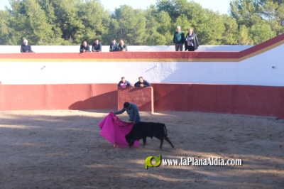 Fotografia /Galeria/2023/12/219451_138613/3_M1.jpg