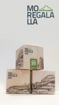 Fotografia /Galeria/2023/12/219847_138852/2_M1.jpg