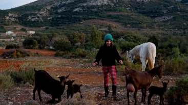 Fotografia /Galeria/2023/12/219923_138902/2_M1.jpg