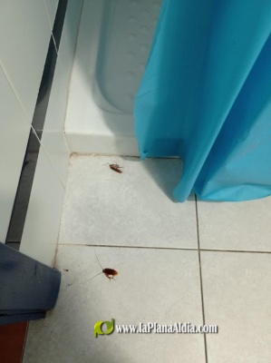 Fotografia /Galeria/2023/2/203529_128459/2_M1.jpg