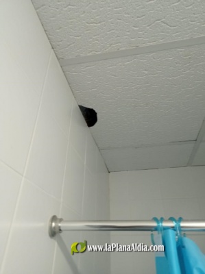 Fotografia /Galeria/2023/2/203529_128459/5_M1.jpg