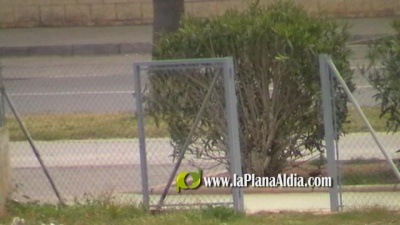 Fotografia /Galeria/2023/3/203952_128854/2_M1.jpg