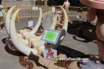 Burriana ya luce sus 36 monumentos falleros en las calles