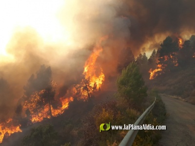 El primer gran incendio de la temporada arrasa los montes de Castellón y Teruel