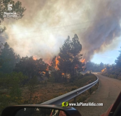 Fotografia /Galeria/2023/3/204012_128929/2_M1.jpg