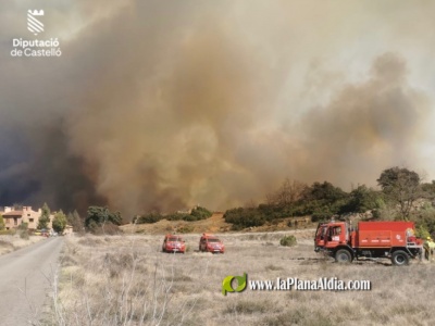 Fotografia /Galeria/2023/3/204012_128929/4_M1.jpg