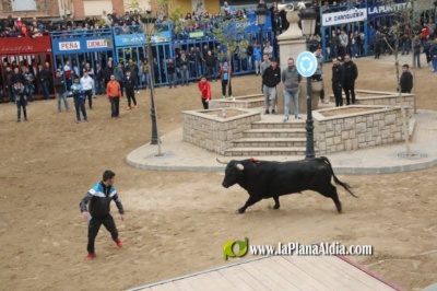 Fotografia /Galeria/2023/4/204105_129019/2_M1.jpg