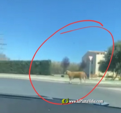 Fotografia /Galeria/2023/4/204132_129046/2_M1.jpg