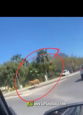 Fotografia /Galeria/2023/4/204132_129046/3_M1.jpg