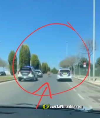 Fotografia /Galeria/2023/4/204132_129046/4_M1.jpg