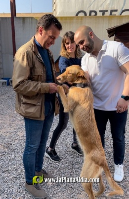 José Adsuara habilitará una oficina de protección animal y creará un refugio que dé servicio a Nules