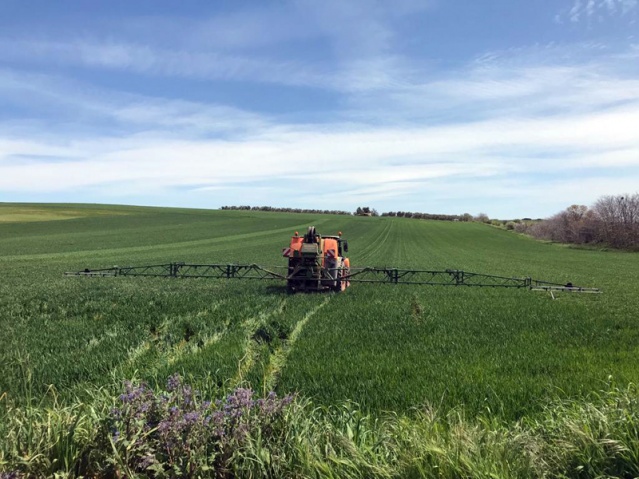 La UPV lidera el projecte AgrEcoMed per a generar sistemes agroalimentaris sostenibles al Mediterrani