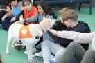 Fundaci Affinity i escola Lle XIII lluiten contra l'assetjament escolar amb terpia amb gossos