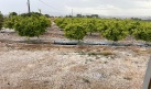 La primera tormenta de granizo del año causa daños en zonas aisladas de la Hoya de Buñol