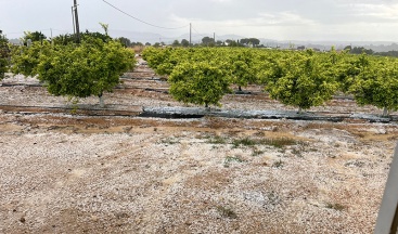 La primera tormenta de granizo del ao causa daos en zonas aisladas de la Hoya de Buol