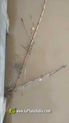 Fotografia /Galeria/2023/5/207474_131223/2_M1.jpg