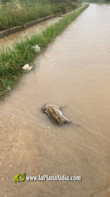 Fotografia /Galeria/2023/5/207524_131265/2_M1.jpg