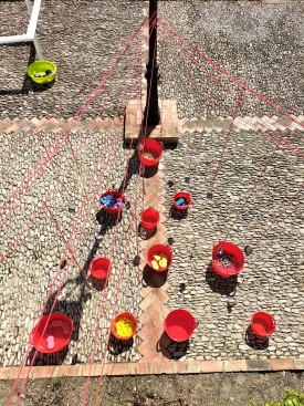 Fotografia /Galeria/2023/6/208075_131557/3_M1.jpg