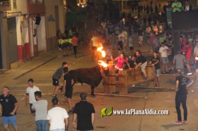 Fiestas del Barrio de San Salvador del 8 al 11 de junio con toros incluidos