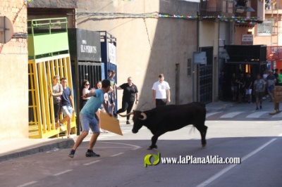 Fotografia /Galeria/2023/6/208100_131578/2_M1.jpg