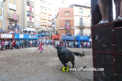 17 Toros Cerriles en las Fiestas del Cristo, las peñas taurinas se reunieron con el ayuntamiento