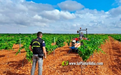 LA UNI destaca que slo el 5% de las infracciones por inspecciones de trabajo en la Comunitat Valenciana son del sector agrario