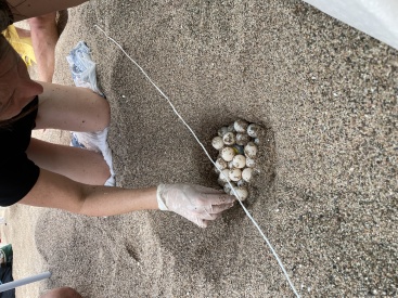 Fotografia /Galeria/2023/7/209978_132722/2_M1.jpg