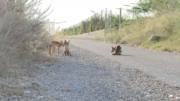 Fotografia /Galeria/2023/7/210571_133087/2_M1.jpg