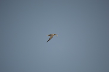 Fotografia /Galeria/2023/7/211008_133359/3_M1.jpg