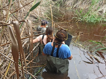 Fotografia /Galeria/2023/8/211313_133556/4_M1.jpg