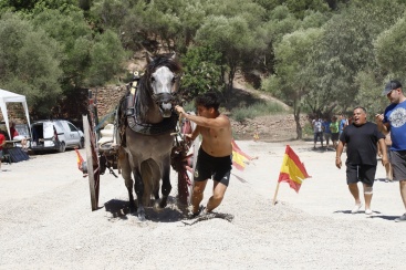 Fotografia /Galeria/2023/8/211529_133680/6_M1.jpg