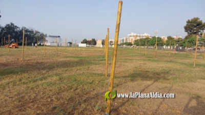 Fotografia /Galeria/2023/8/211586_133711/4_M1.jpg