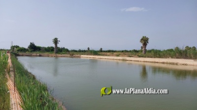 Fotografia /Galeria/2023/8/211626_133738/3_M1.jpg