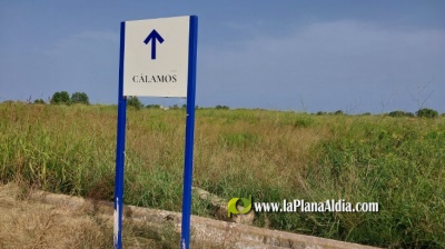 Fotografia /Galeria/2023/8/211626_133738/5_M1.jpg