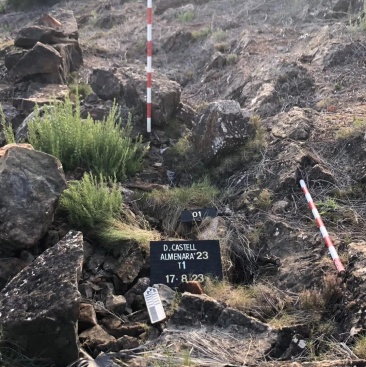 Fotografia /Galeria/2023/8/211975_133931/2_M1.jpg